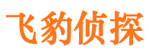 八宿侦探